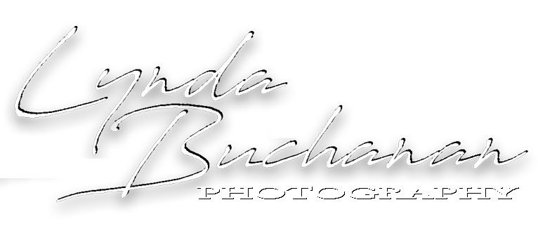 LyndaBuchananPhotography-Logo