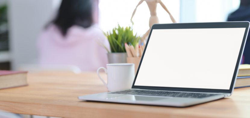 best wordpress theme